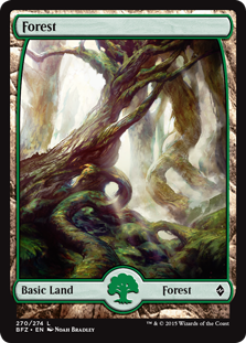 (image for) Forest (270) - Full Art
